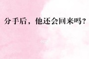 失恋挽回指南（教你如何赢回前任的心）