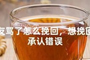 分手后如何挽回前女友，别再犯这些错误（15个实用方法教你重获前女友芳心）