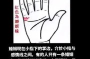 《感情线揭秘》（如何从手相看出你的姻缘？）