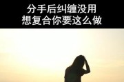 分手后如何挽回爱情（以跟对象分手了怎么挽留？）