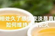 如何维持长久的感情（从沟通到尊重，七大秘诀教你经营幸福爱情）