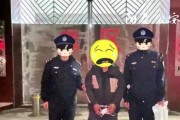 被拘留后如何应对？（遇到拘留该如何自救？）