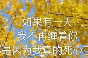 如何挽回对方不在乎你的感情（重塑亲密关系的方法和技巧）