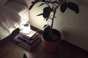分开多久才能挽回因年龄分开的恋情？（恋爱与年龄的难题、年龄差距的影响和如何挽回恋情）