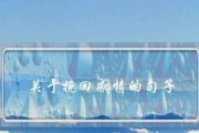 挽回前男友，重新拥抱爱情（15个技巧教你成功挽回前男友）