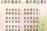 含蓄美好的爱情诗（现代诗句里的浪漫情怀）