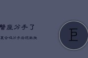 分手后还有挽回的可能吗？（重燃爱火，留住爱情的秘诀）