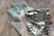 揭秘得觉相牌的真面目（从历史渊源到产品特点，一文全面解析得觉相牌）