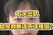 出轨与真情（探究出轨背后的情感真相，以及如何去面对和挽回。）