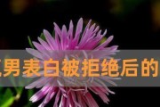 追求女生被拒绝后如何挽回（从失落到重建信心，你需要做的15件事）