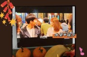 普通恋爱的秘密（分享最真实的情感经历，教你谈恋爱的最佳方法）