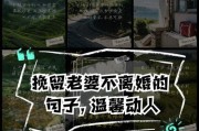 如何挽回妻子要和我离婚（丈夫需要改变自己的行为，重建婚姻关系）