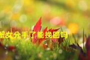 女友绝望分手，如何挽回？（绝对有效的15个方法，让你重拾爱情）