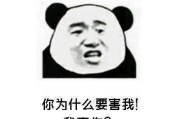 2023年最火的撩妹土味情话大全，每句都撩到心坎里去（独家揭秘最新潮流，男生必备的撩妹秘籍！）