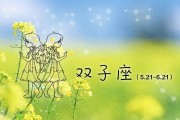 如何成功挽回与双子座的分手对象？（分手后要注意的事项及方法）