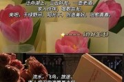 文案心理学（用文字化解分手的痛苦，重燃爱情的火花）