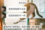 如何在不太会聊天的情况下成功表白（15个技巧帮助你克服害羞和紧张）