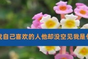 以梦见以前的朋友来找我代表什么？（解析梦中重逢旧友的含义）