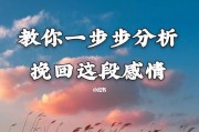 快速挽回感情的方法详解（快速挽回感情的方法详解）