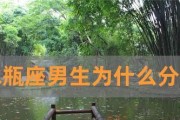 如何挽回水瓶男的心（掌握这些技巧，让他再次爱上你）